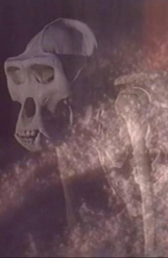 Esprits de Sel (1990)