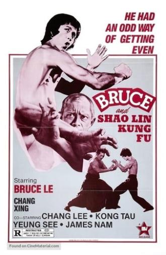 Bruce and Shaolin Kung Fu (1977)