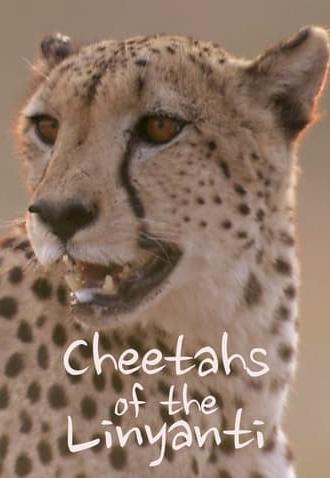 Cheetahs of the Linyanti (2022)