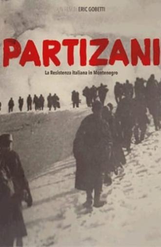 Partizani (2015)