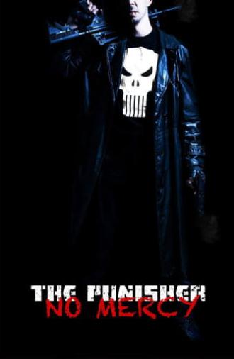 The Punisher: No Mercy (2013)