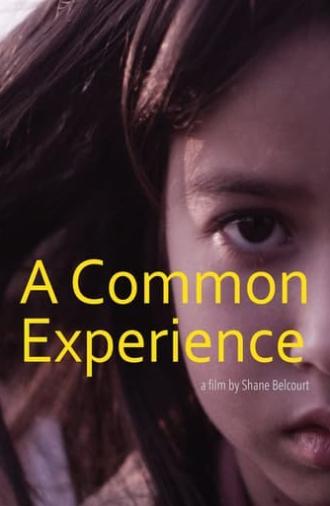 A Common Experience (2013)