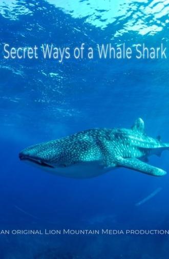 Le long voyage d'un requin-baleine (2024)