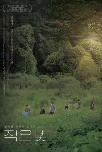 Tiny Light (2020)