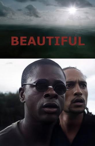 Beautiful (2011)