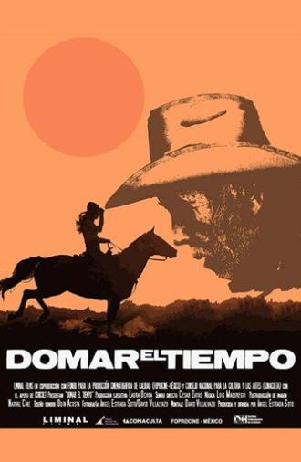 Domar el tiempo (2013)