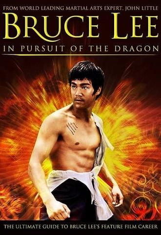 Bruce Lee: In Pursuit of the Dragon (2011)