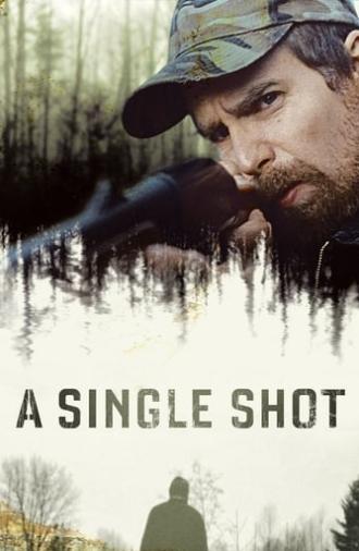 A Single Shot (2013)