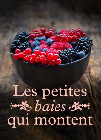 Les petites baies qui montent (2021)
