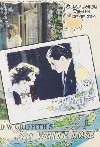 The White Rose (1923)