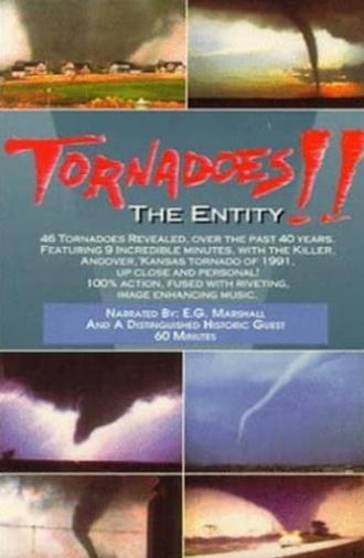 Tornadoes: The Entity (1993)