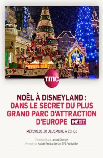 Noël à Disneyland : dans le secret du plus grand parc d'attraction d'Europe (2014)