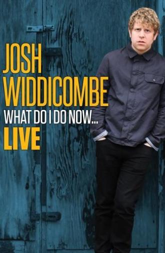 Josh Widdicombe: What Do I Do Now... (2016)