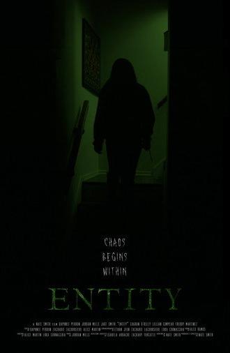 Entity (2026)