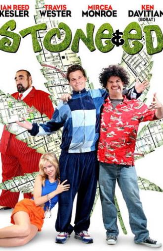 Stone & Ed (2008)