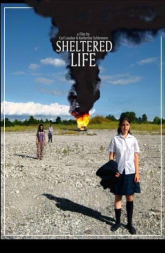 Sheltered Life (2008)