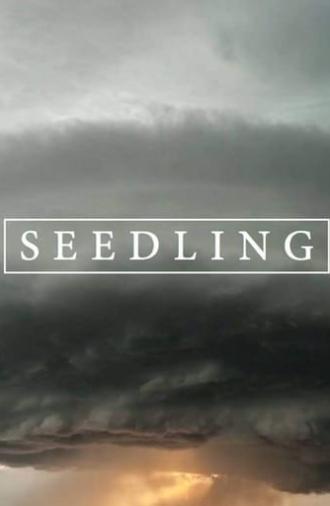 Seedling (2017)