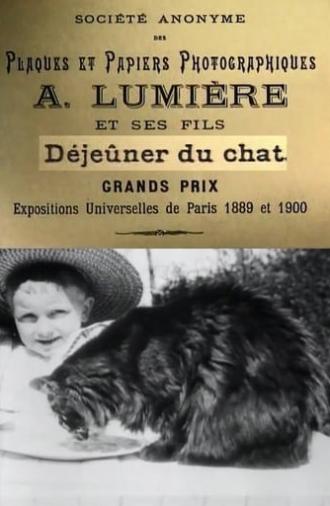 Déjeuner du Chat (1895)