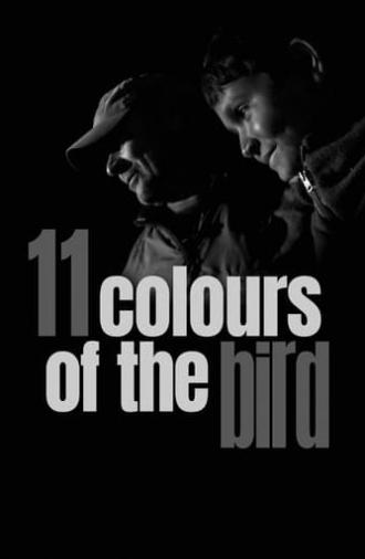 11 Colours of the Bird (2020)