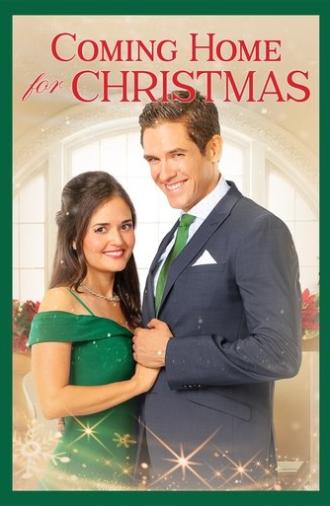 Coming Home for Christmas (2017)