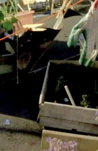 Sculpture Garden (2019)