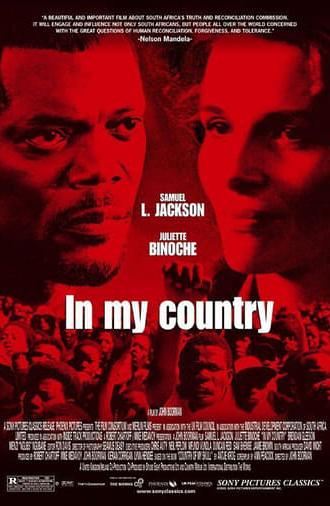 In My Country (2004)