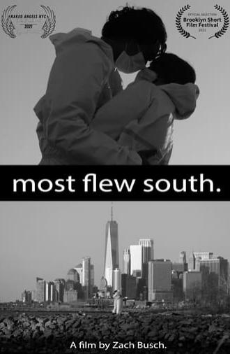 Most Flew South (2020)