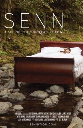Senn (2013)