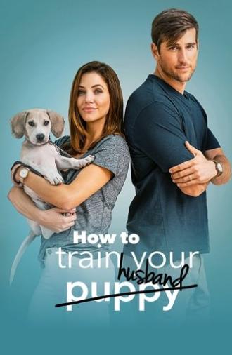 How to Train Your Husband (2018)
