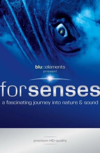 Forsenses - A Fascinating Journey into Nature & Sound (2009)