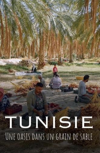 Tunisie : Une oasis dans un grain de sable (2024)