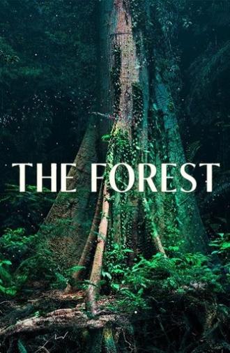 The Forest (2024)