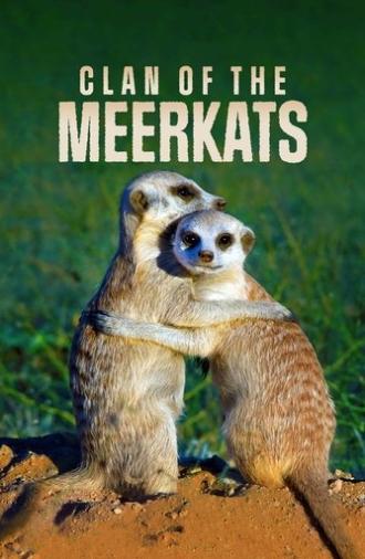 Clan of the Meerkat (2010)