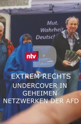 Extrem rechts - Undercover in geheimen Netzwerken der AfD (2024)