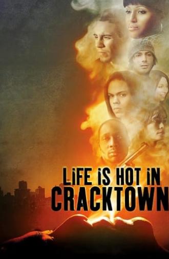 Life Is Hot in Cracktown (2009)