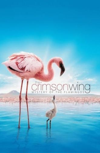 The Crimson Wing: Mystery of the Flamingos (2008)