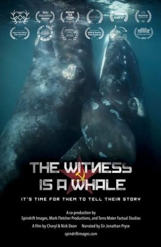 The Witness is a Whale (2022)