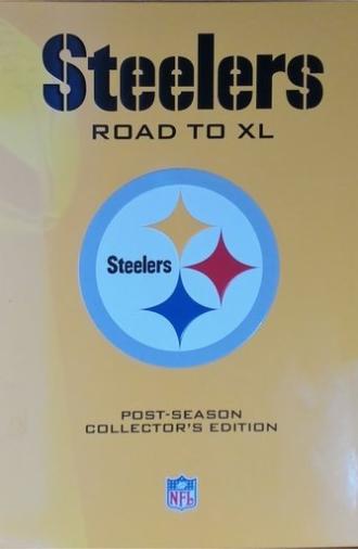 Pittsburgh Steelers Road to Super Bowl XL (2006)