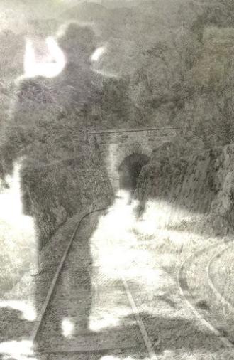 Diálogo Bulbul (2025)