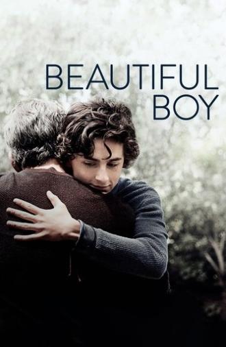 Beautiful Boy (2018)