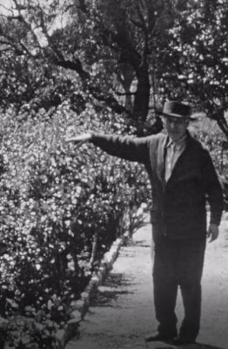 Chagall dans son jardin a Saint-Paul-de-Vence (1970)