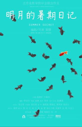 Summer Secret (2014)