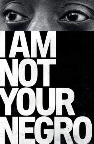 I Am Not Your Negro (2017)