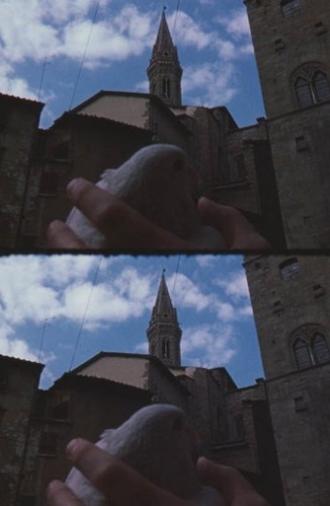 From the Notebook of... (1972)