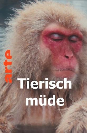 Tierisch müde - Das Rätsel Schlaf (2022)