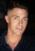Colton Haynes