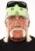 Hulk Hogan Hulk Hogan