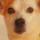 Toby