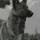 Klondike the Dog