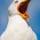 Mouette